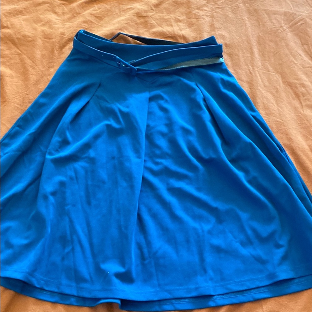 Elegant Blue Women's Skirt